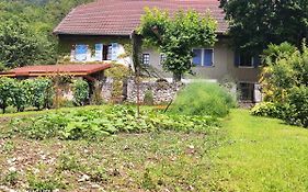Du Vent Dans Les Arbres -120M2 Belle Vue Sur Le Lac