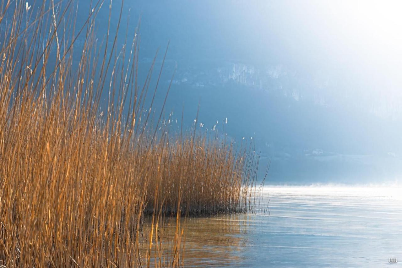 Du Vent Dans Les Arbres -120M2 Belle Vue Sur Le Lac Chindrieux Buitenkant foto