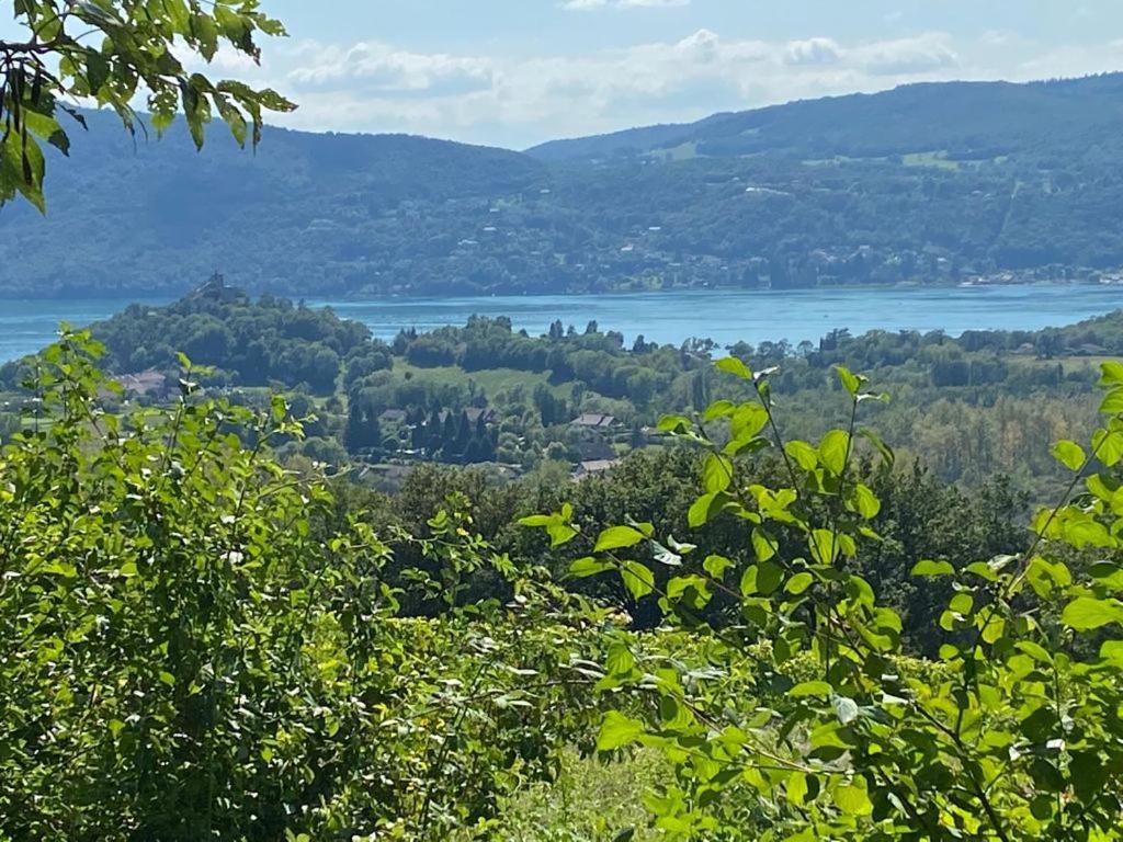 Du Vent Dans Les Arbres -120M2 Belle Vue Sur Le Lac Chindrieux Buitenkant foto